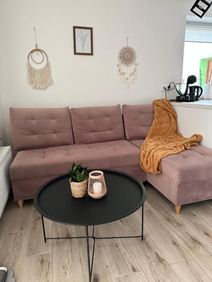 Mr. Sowa Sokolec Apartamento Ludwikowice Kłodzkie Exterior foto