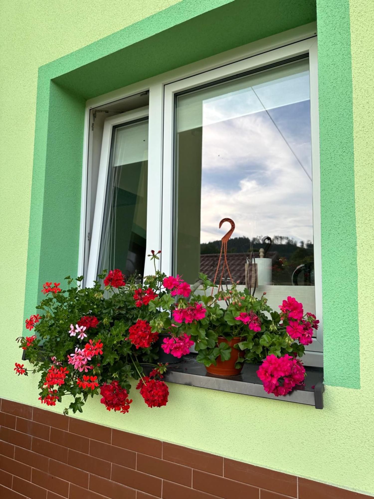 Mr. Sowa Sokolec Apartamento Ludwikowice Kłodzkie Exterior foto