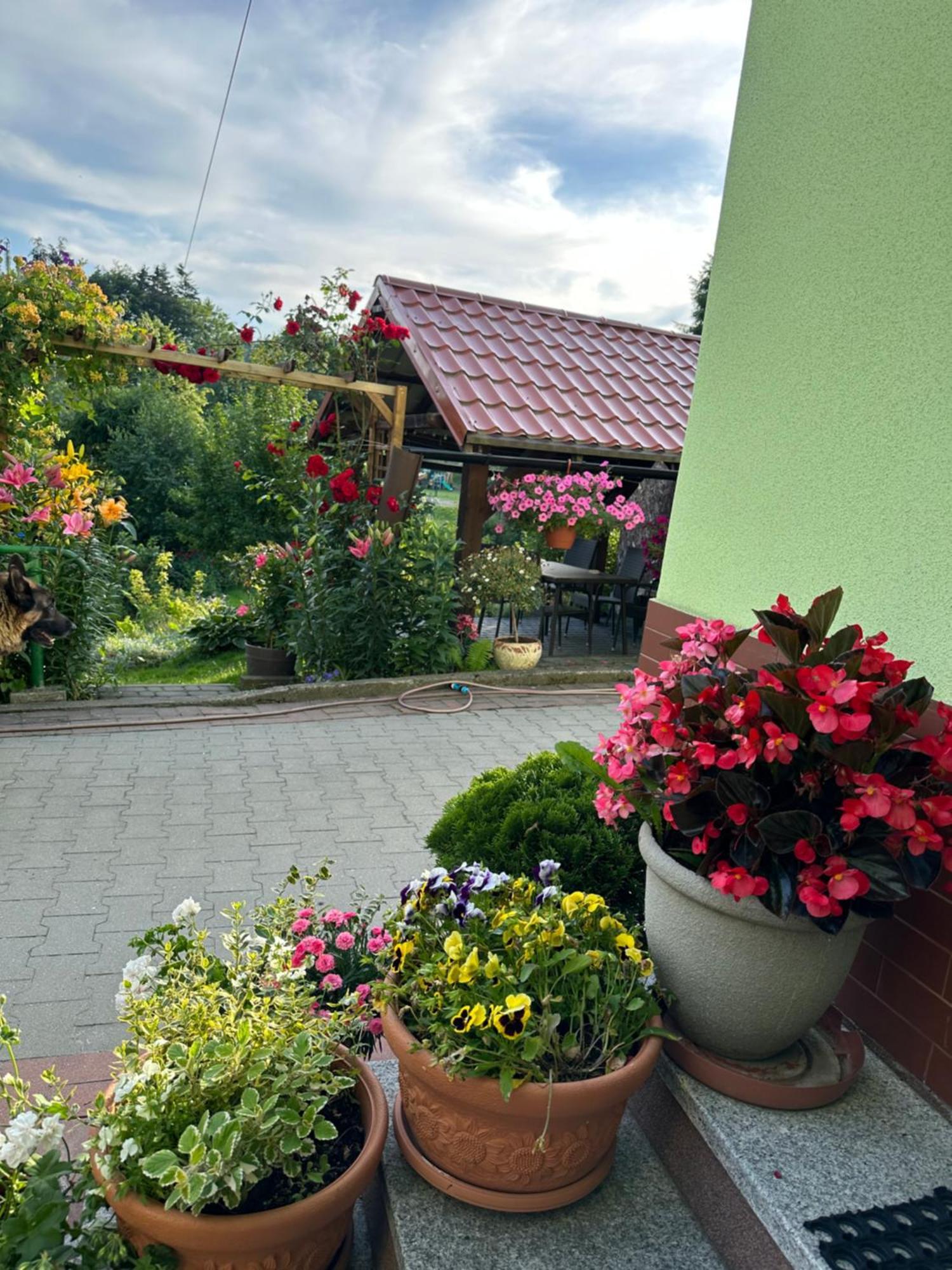Mr. Sowa Sokolec Apartamento Ludwikowice Kłodzkie Exterior foto