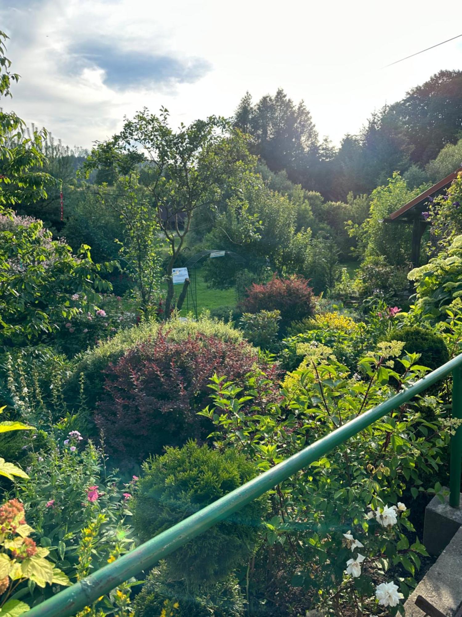 Mr. Sowa Sokolec Apartamento Ludwikowice Kłodzkie Exterior foto